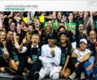 Λιούις Χάμιλτον, ο παγκόσμιος πρωταθλητής F1 2014 με Mercedes